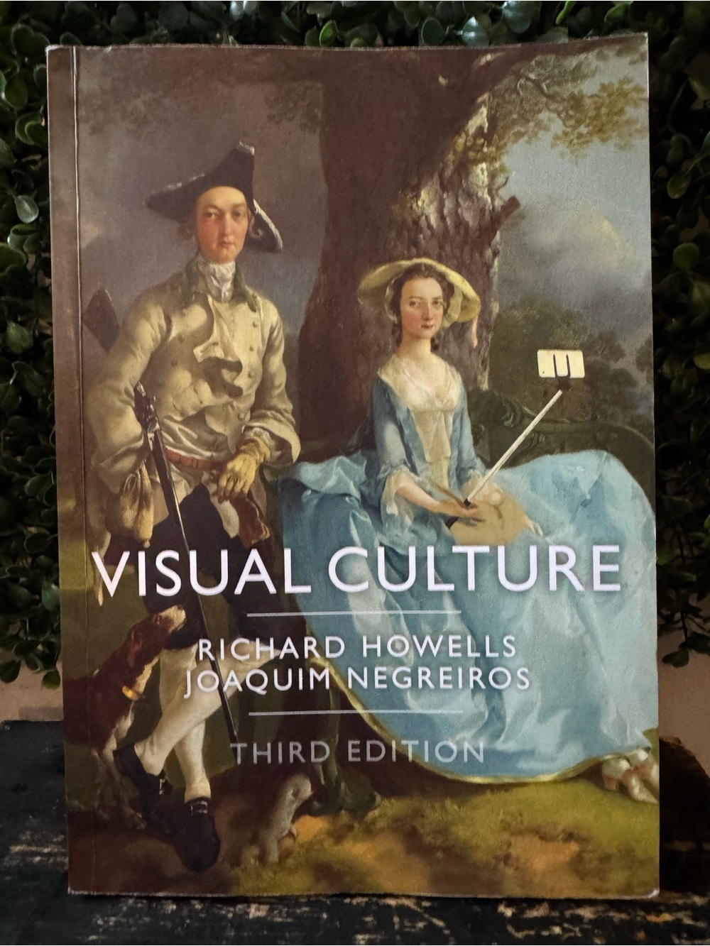 EUC VISUAL CULTURE 3RD EDITION Paperback by HOWELLS Negreiros TEXTBOOK